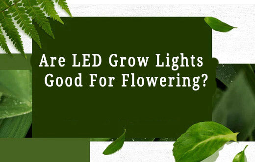 Are LED Grow Lights Good For Flowering?