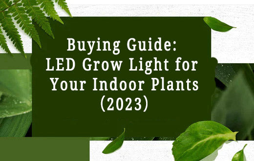 Buying Guide: LED Grow Light for Your Indoor Plants（2023）