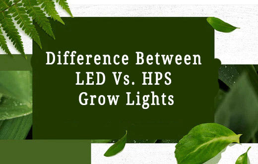 Difference Between LED Vs. HPS Grow Lights