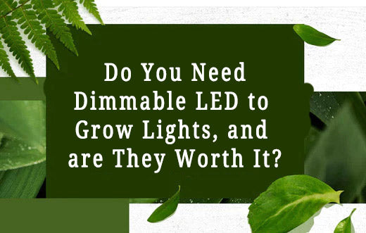 Do you need Dimmable LED to grow lights, and are they worth it?