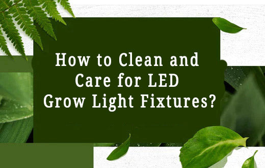How to clean and care for LED grow light fixtures?