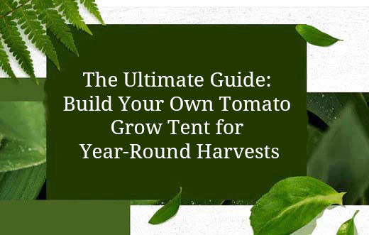The Ultimate Guide: Build Your Own Tomato Grow Tent for Year-Round Harvests
