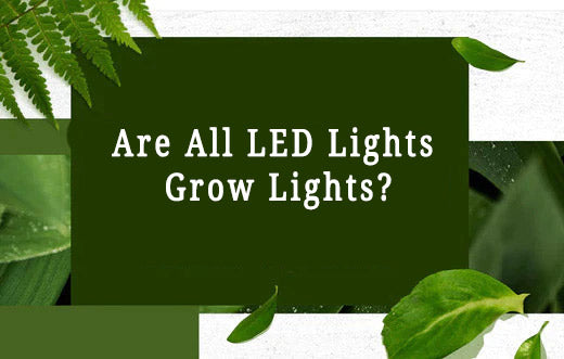 Are All LED Lights Grow Lights?