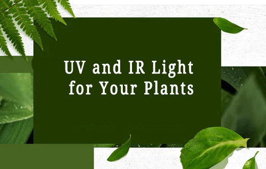 UV and IR Light for Your Plants
