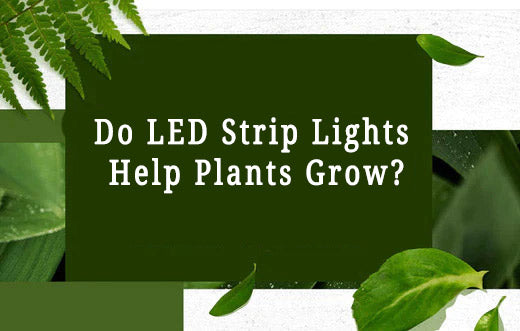 Do LED Strip Lights Help Plants Grow?