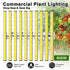 PHLIZON PH-B10-D PLUS 800W Full-spectrum+UV/IR Daisy Chain Dimmable Cost-effective High-yield Commercial LED Grow Light for 5×5FT