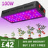 PHLIZON PHD6 100W Dual-channel Full Spectrum UV IR LED Grow Light for 2X2FT