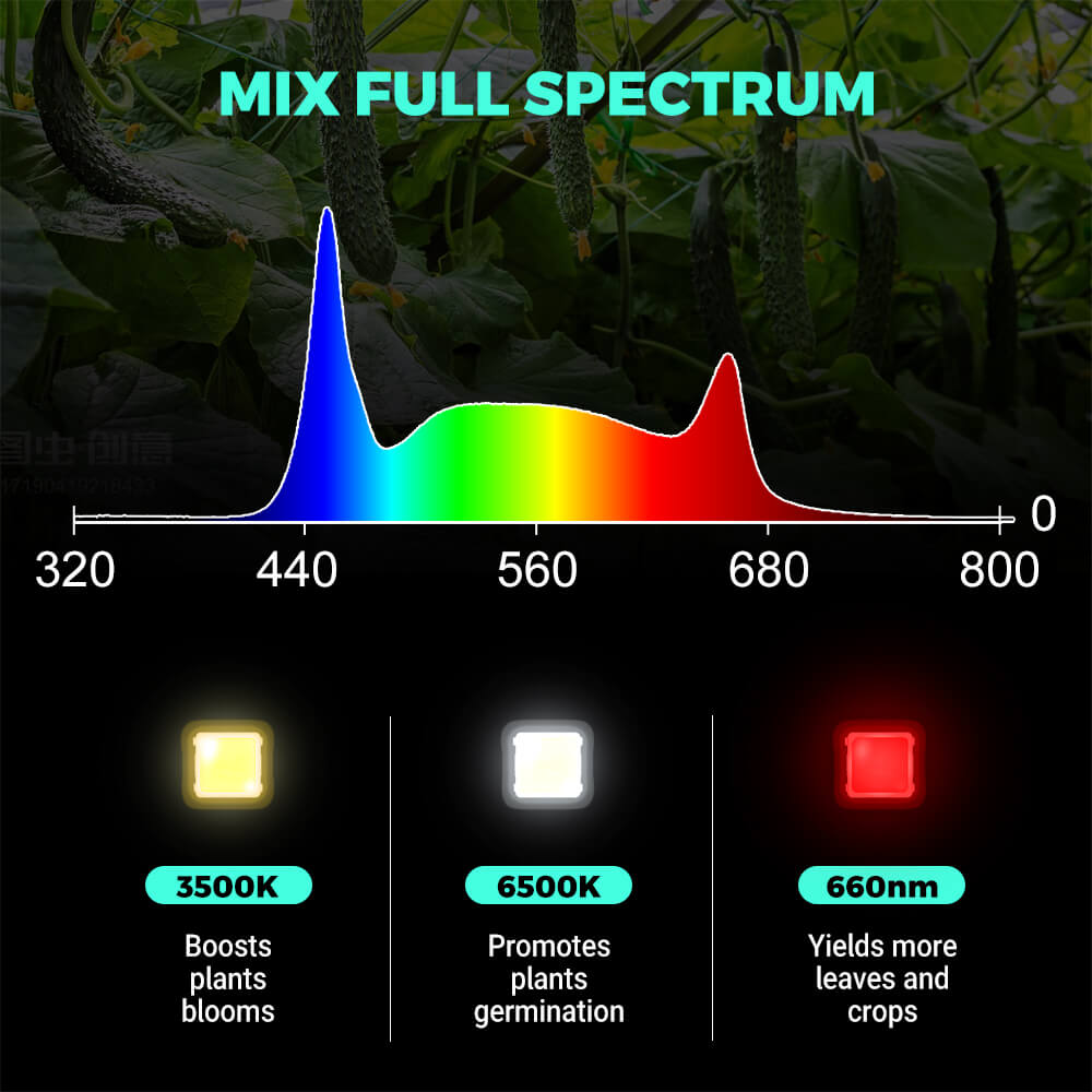 3500k spectrum sales