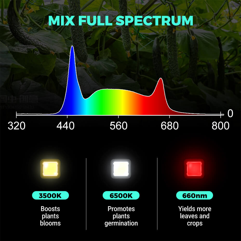PHLIZON FD6000 PLUS 640W Full-spectrum Daisy Chain Dimmable LED Grow Light Removable Driver